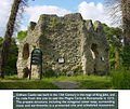 Odiham Castle