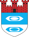 Wappen von Bielawa