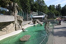 Sea Lion Pool