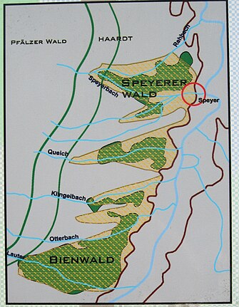 Überblickskarte: Speyerer Wald zwischen Haardt und Rhein auf dem Schwemmfächer des Speyerbaches und die südlich gelegenen weiteren linksrheinischen Wälder auf den Schwemmfächern von Queich, Klingbach, Otterbach und Lauter. Die beiden braunen Linien parallel zum Rhein markieren den Übergang vom Hochgestade zur Rheinniederung, dem Gebiet, in dem der Rhein mäanderte, also seinen Flusslauf immer wieder verlegte. Die Schwemmfächer brechen an dieser Linie ab, denn der Rhein transportierte von den Bächen mittransportierte Sande natürlich leicht ab.