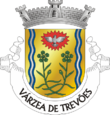 Vlag van Várzea de Trevões