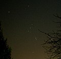 Orion