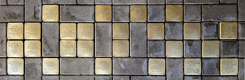 Stolpersteine vor dem Haupteingang der Königin-Luise-Schule, Foto von 2024