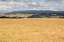 Foto eines Getreidefelds in einer von Feldern geprägten Landschaft