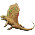 Dimetrodon