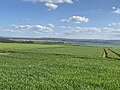 Blick auf Trebra (Hohenstein)