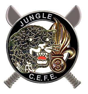 Brevet-jungle.jpg