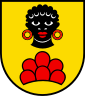 Wapen van Möriken-Wildegg