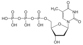 Structuurformule van thymidinetrifosfaat