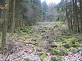 Kleines Flasergranitoid-Felsenmeer am Rimdidim-Westhang bei Steinau (nordöstlich Neunkirchens)