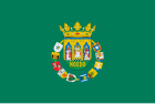 Flagge der Provinz Sevilla