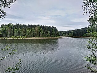 Blick über den Frankenteich