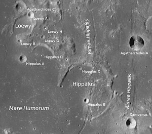 Hippalus und Rimae Hippalus (LROC-WAC)