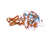 2h89: Avian Respiratory Complex II with Malonate Bound