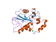 2ifv: Crystal structure of an active site mutant, C473D, of CDC25B phosphatase catalytic domain