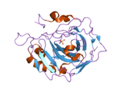 2nxr: Structural effects of hydrophobic mutations on the active site of human carbonic anhydrase II