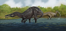 Suchomimus tenerensis