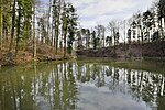 Mühle Grüningen, Giessen-Weiher