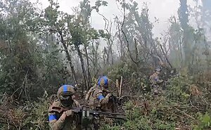 Image of the 3rd Assault Brigade of Ukraine in the forest of Donetsk