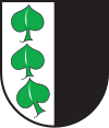 Wappen von Scharans