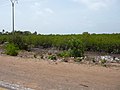 Banjul-Serekunda Highway