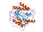 2b3l: Crystal structure of type I human methionine aminopeptidase in the apo form