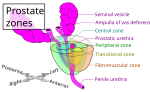 Neue Vektorgrafik