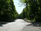 Rominter Allee