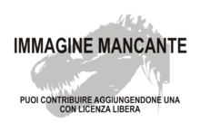 Immagine di Tianchiasaurus nedegoapeferima mancante