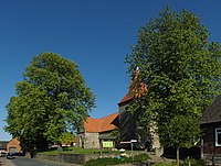 Rosskastaniengruppe an der Holtenser Kirche