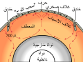 العربية • アラビア語