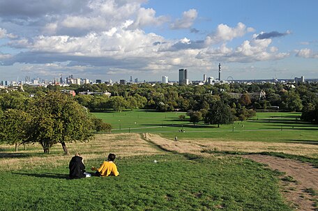 London's landscape from Primrose Hill