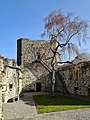 Ruine Ringgenberg