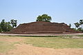 The Sujata Stupa near Bodh Gaya