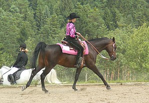 westernrijden