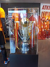 2014-15 Şampiyonluk Kupası