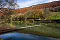 Etang de la Réselle