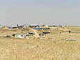 Blick von einem kleinen Hügel in der israelischen Wüste Negev auf die beduinische Siedlung Al-Araqeeb im Jahr 2010: Unter einem wolkenlosen blauen Himmel zeigt sich karges, mit trockenen Halmen bestandenes Land; in einer Mulde und auf der gegenüberliegenden Hangseite stehen entlang von unbefestigten Wegen zeltartige Behausungen und Blechhütten, dazwischen niedrige junge grüne Bäume.