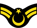 Kara Kuvvetleri Komutanlığı ve Jandarma Genel Komutanlığı Astsubay Çavuş Rütbesi