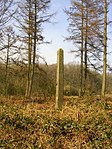 Grenspaal aan de bosrand van Lichtenbeek