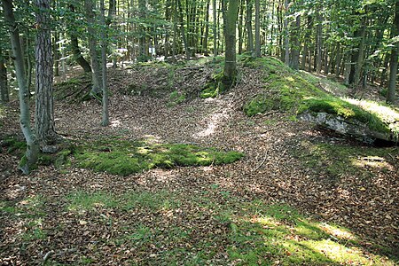 Bild 4: Geländestufe, die den Bereich der Burg in zwei Ebenen teilt