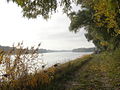 Die Donau im Nationalpark Donau-Auen