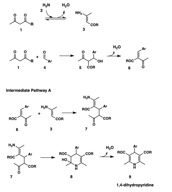 Hantzch Pathway A 01