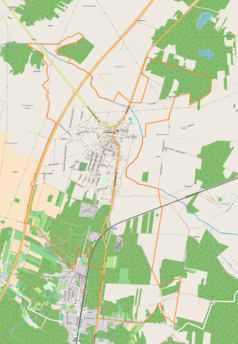 Mapa konturowa Kamieńska, po lewej znajduje się punkt z opisem „Cmentarz żydowski w Kamieńsku”