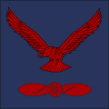 (Pakistan Air Force)