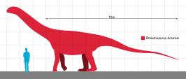 Rhoetosaurus