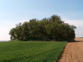 Tumulus van Avernas