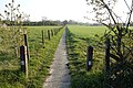 Voetweg op oude tramroute in Rummen