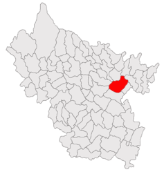 Location in Buzău County