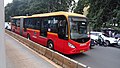 DAMRI Inobus bus, nonoperational